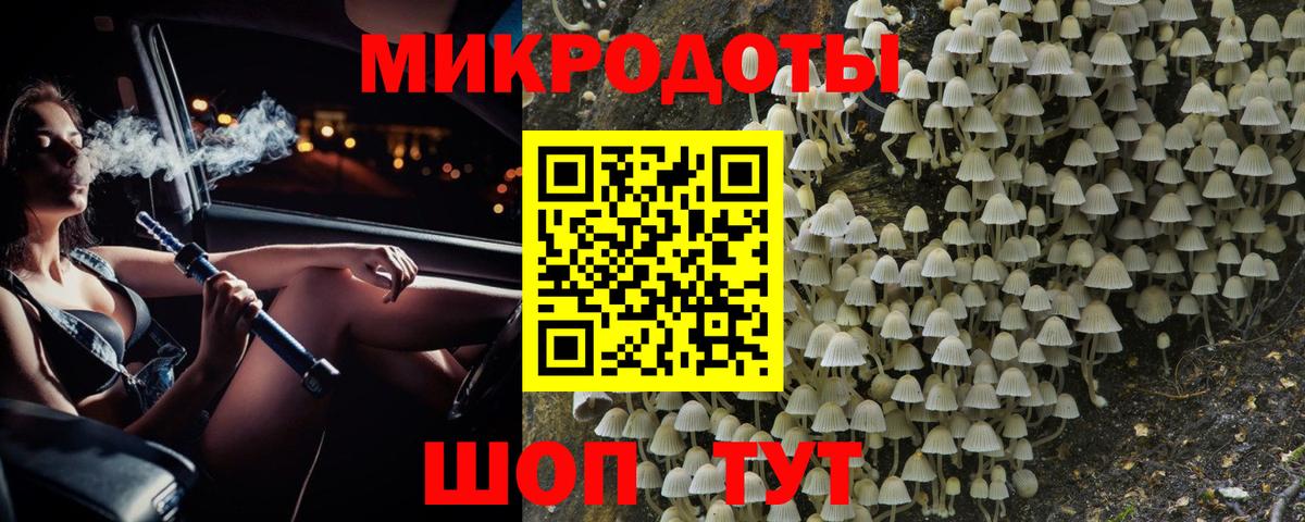 Галлюциногенные грибы Psilocybe Чебоксары