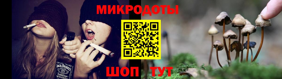 Чебоксары  Псилоцибиновые грибы Psilocybine cubensis  Вход с VPN 
